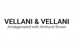 Vellani-Vellani